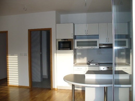 P1000886.JPG
